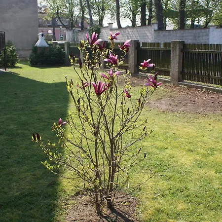 Holiday home Apartmenthaus Stoeckl In