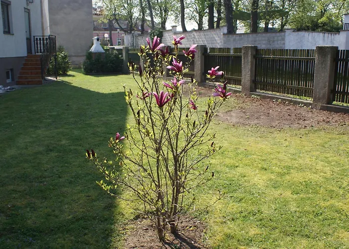 Holiday home Apartmenthaus Stoeckl In